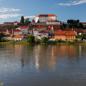 Zamek Ptuj