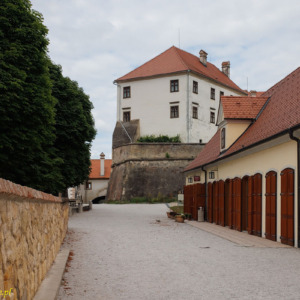 Zamek Ptuj