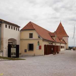Zamek Ptuj