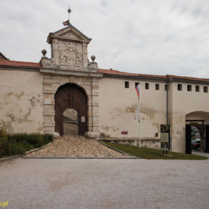 Zamek Ptuj