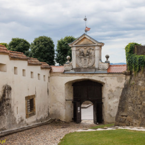 Zamek Ptuj