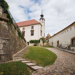 Zamek Ptuj