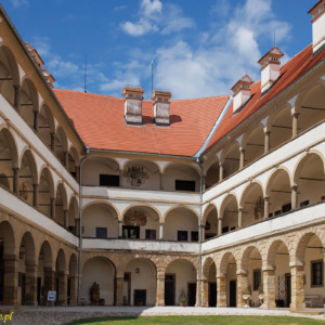 Zamek Ptuj