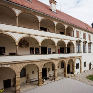 Zamek Ptuj