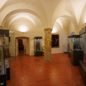 Zamek Ptuj