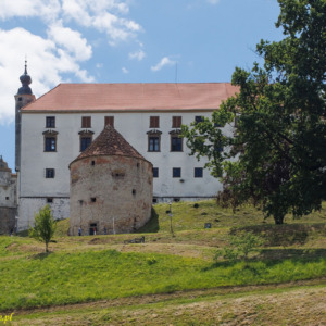 Zamek Ptuj