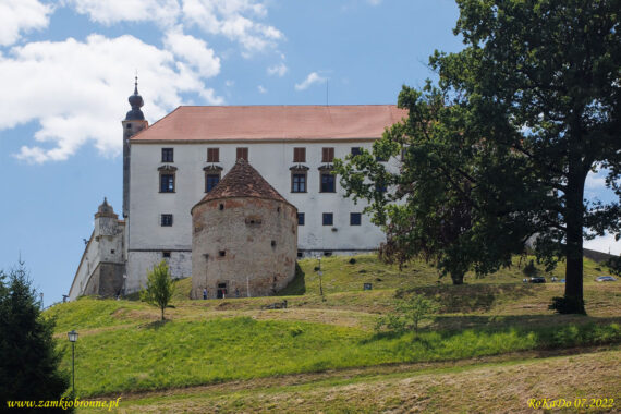 Zamek Ptuj