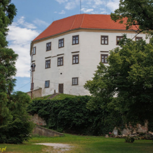 Zamek Ptuj