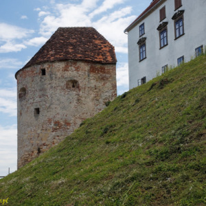Zamek Ptuj