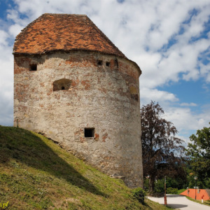 Zamek Ptuj