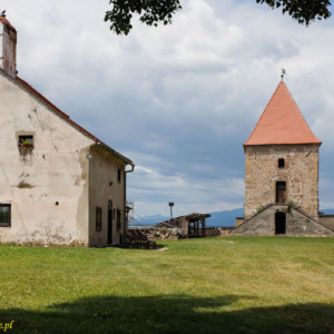 Zamek Ptuj