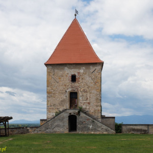 Zamek Ptuj