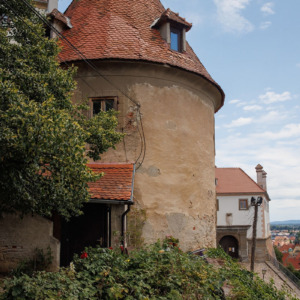 Zamek Ptuj