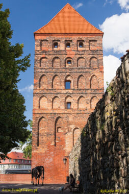 Miejskie mury obronne Chojnic brama Człuchowska