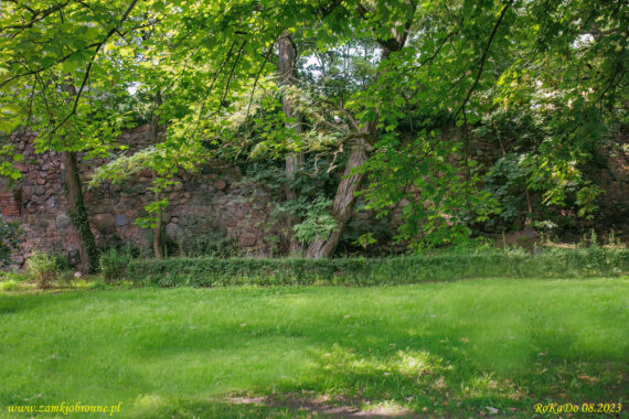 Gryfino miejskie mury obronne