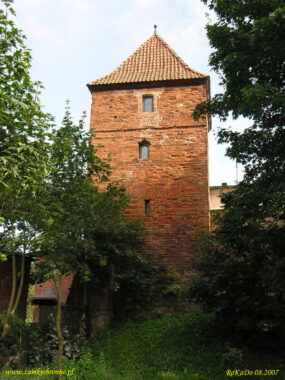 Golub miejskie mury obronne, zachowana narożna wieża.