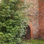 Barlinek miejskie mury obronne Psia Furta