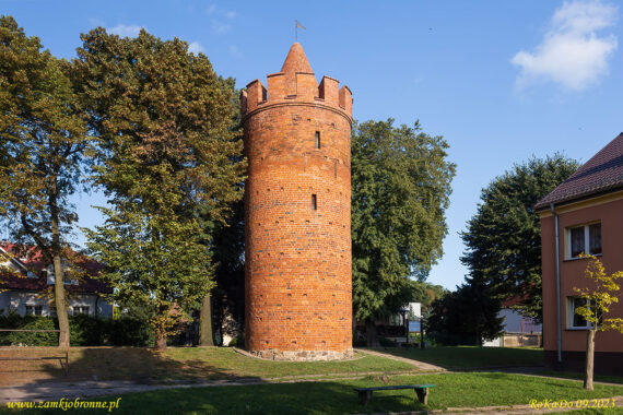 Myślibórz miejskie mury obronne baszta Prochowa
