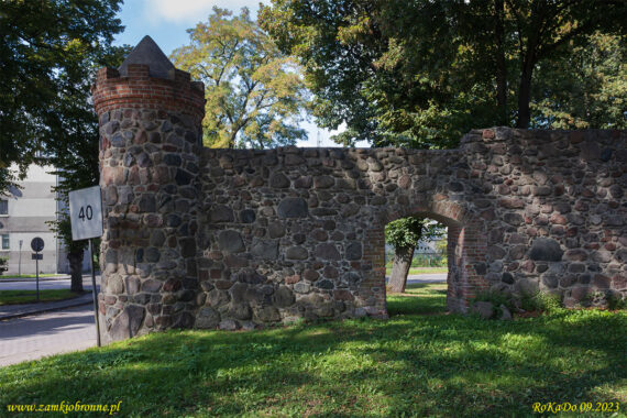 Trzcińsko miejskie mury obronne